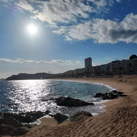 Zodiac Ab 4b Apartment *