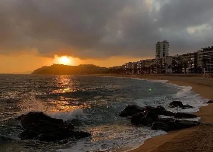 Zodiac Ab 4b Apartment *